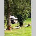 Bergwaldstudio Moderne *