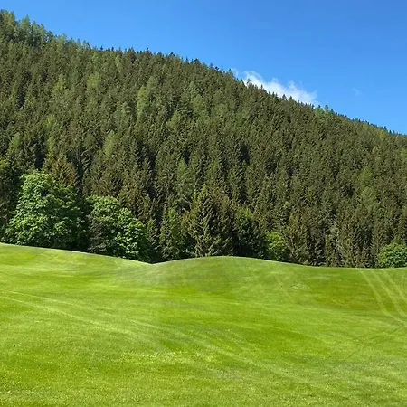 Bergwaldstudio Moderne