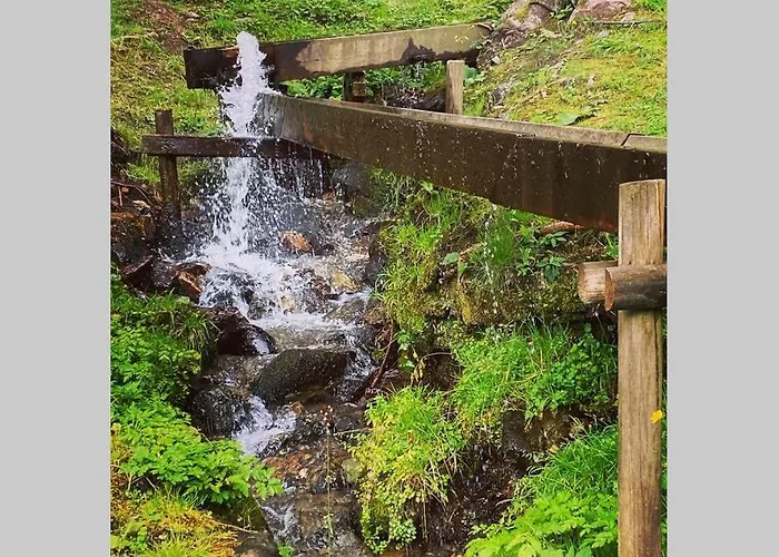 Apartament Bergwaldstudio Moderne *