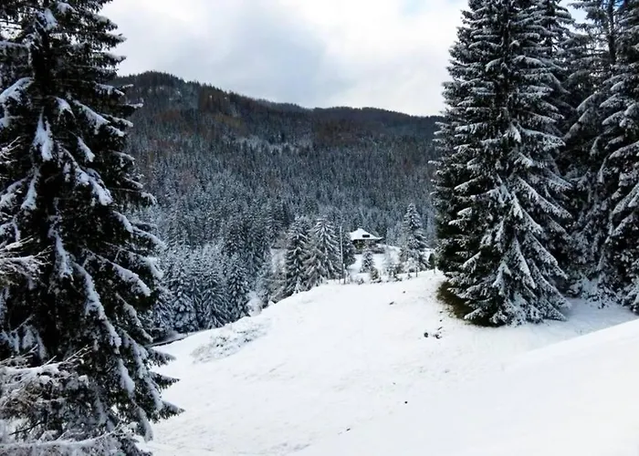 Bergwaldstudio Moderne *