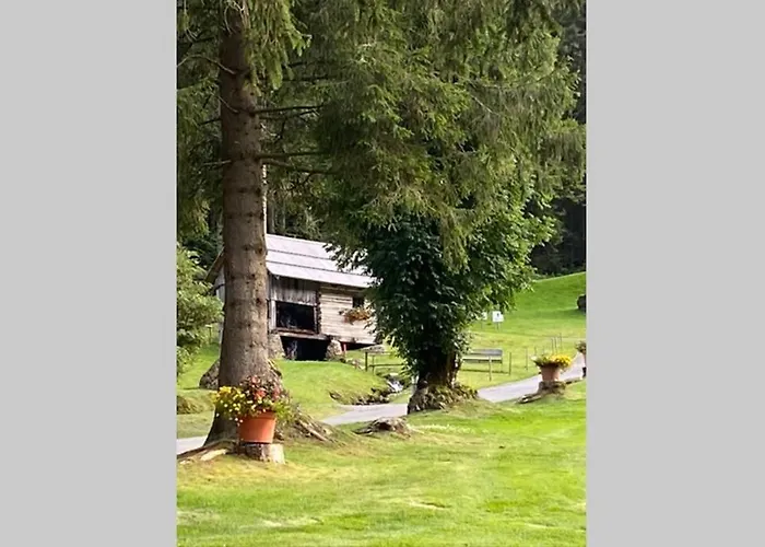 Bergwaldstudio Moderne *