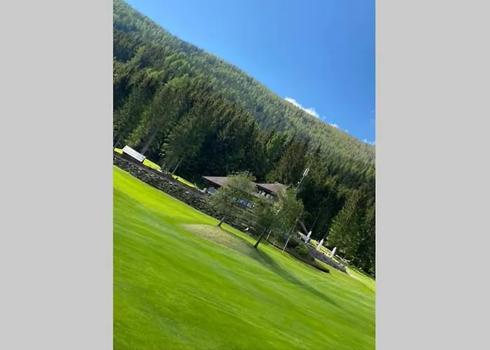 Bergwaldstudio Moderne Apartament *