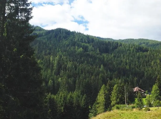 Bergwaldstudio Moderne